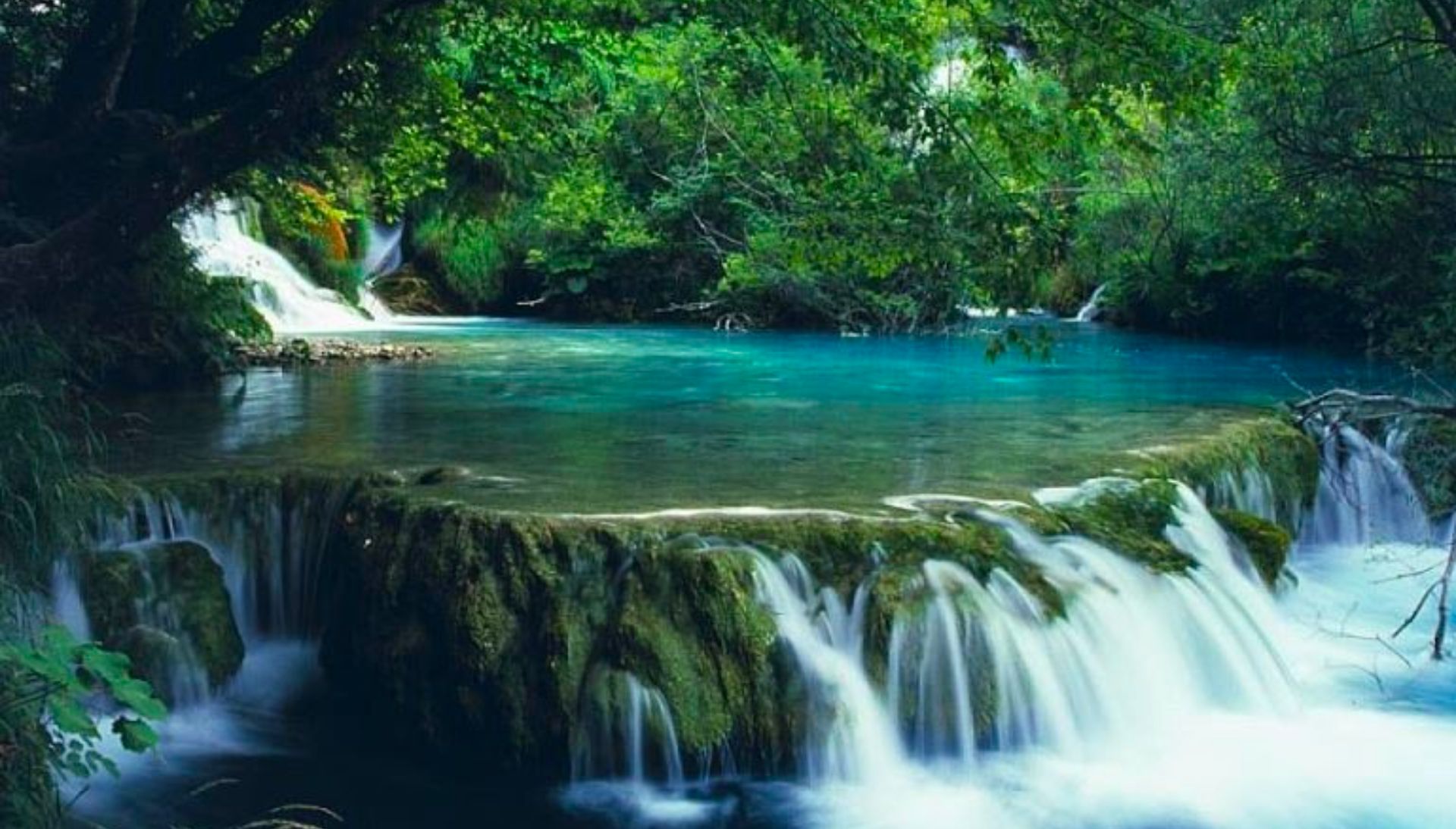 Thiên nhiên Bạch Mã - Ngũ Hồ và rừng nguyên sinh tuyệt đẹp