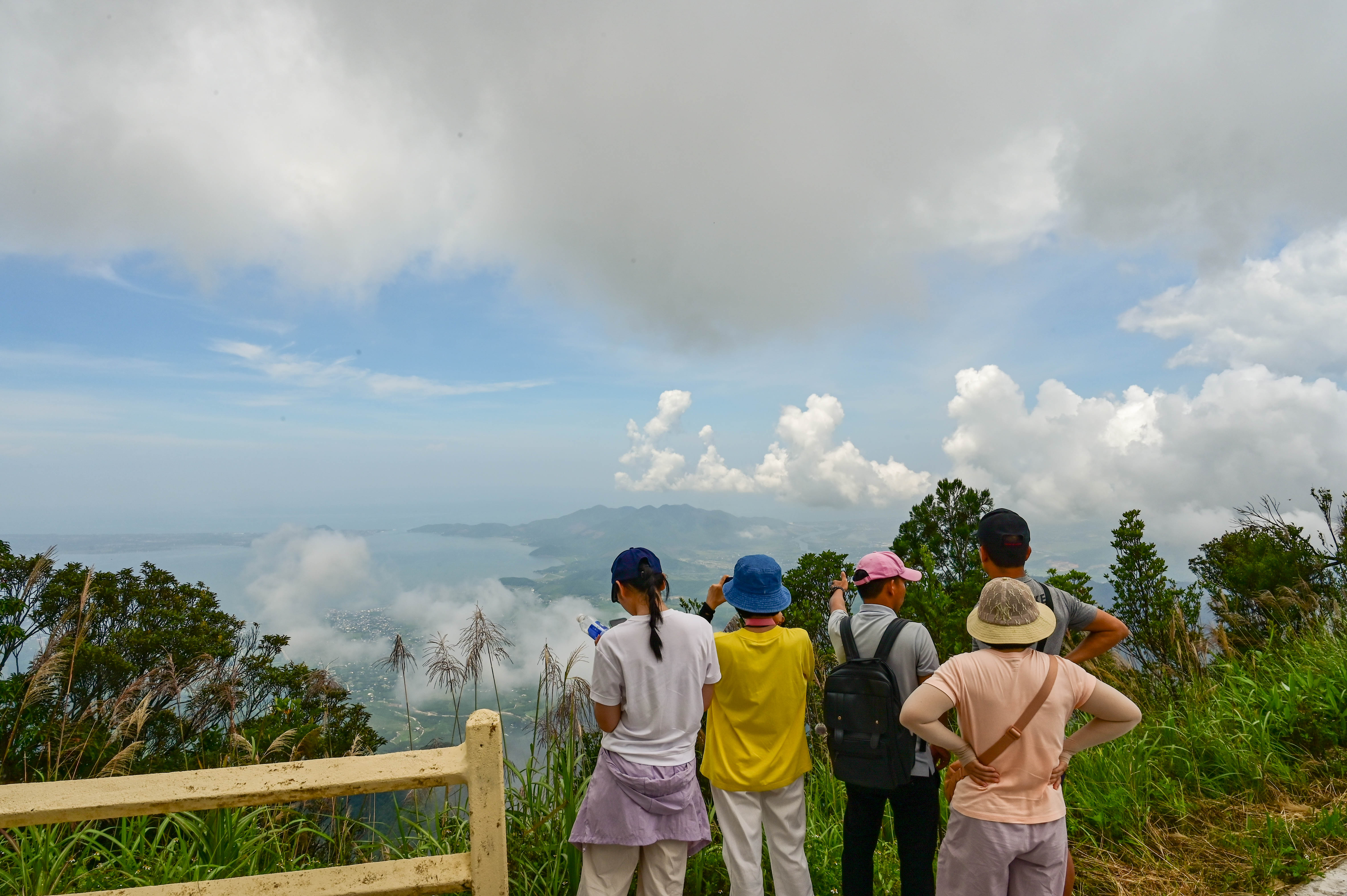 Cảnh quan đại ngàn