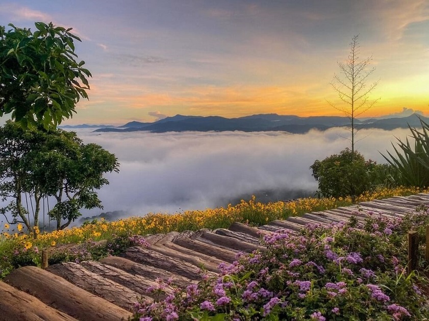 Đà Lạt - Thành phố ngàn hoa