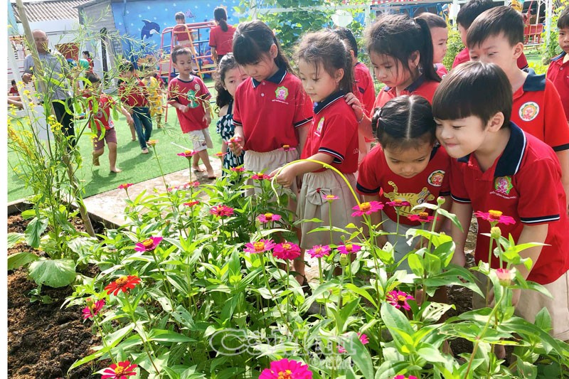 Nhóm bạn cùng nhau khám phá