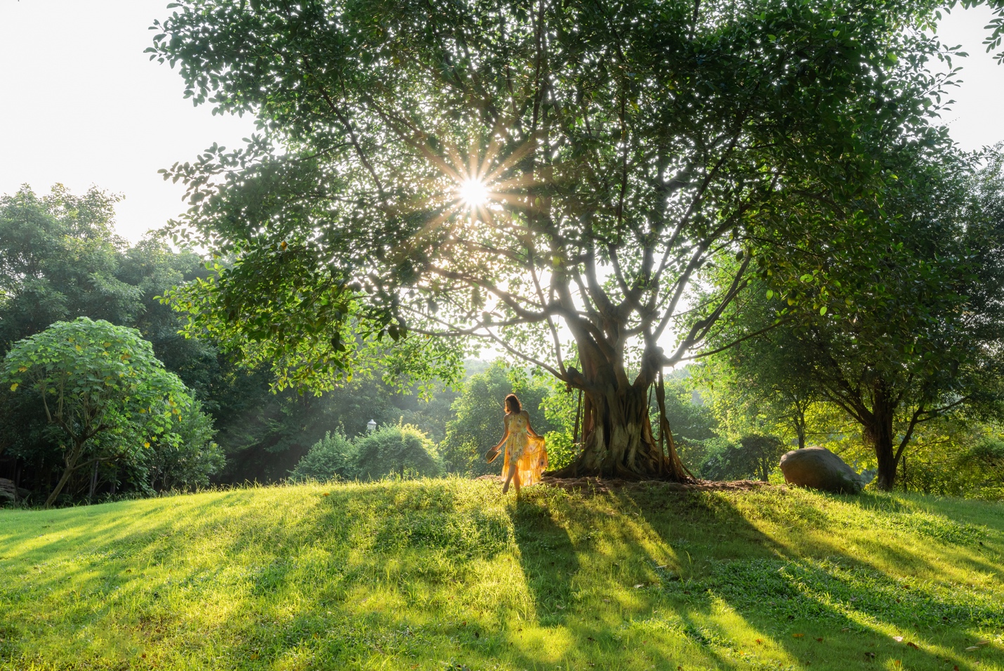 Hoạt động chánh niệm