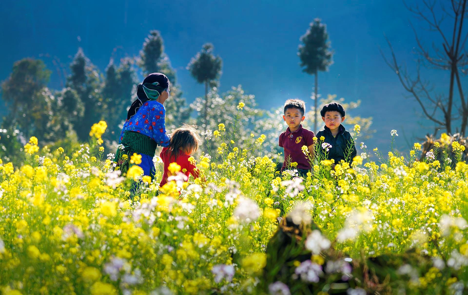 Trải nghiệm thiên nhiên đầy cảm xúc