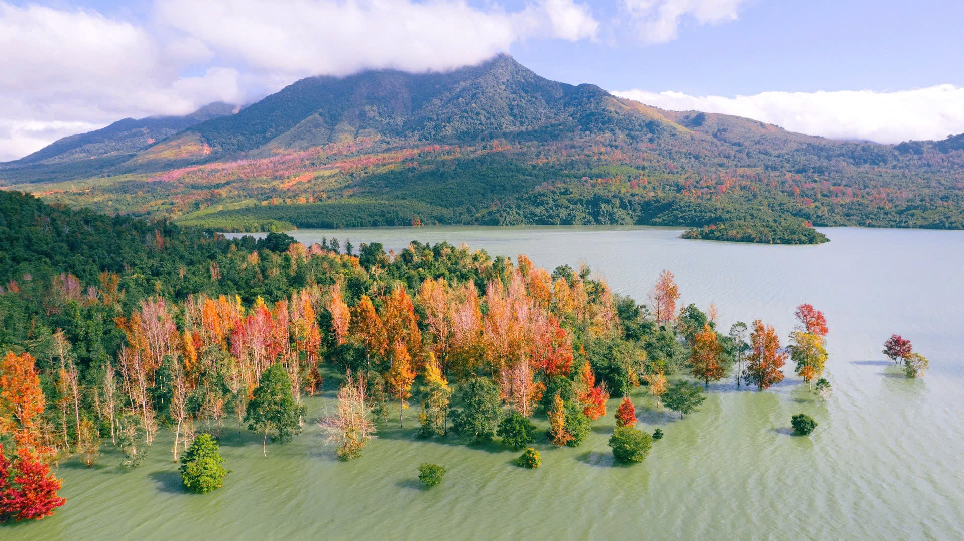 Hành trình phía trước