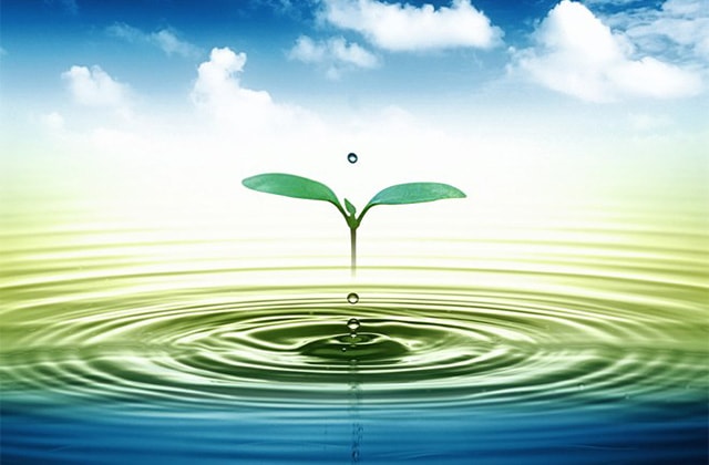 Phụ nữ Việt Nam - Hành trình tri ân ngày 20/10