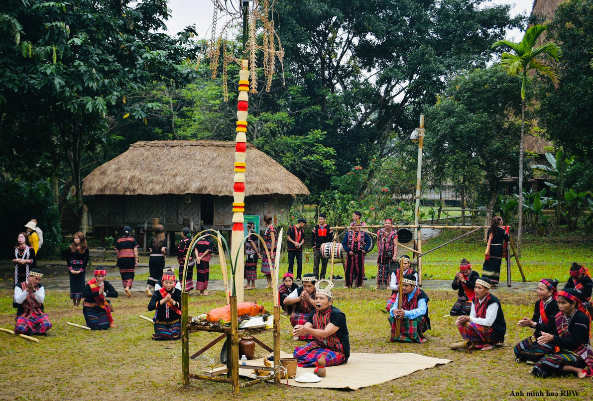 Thành Cổ Quảng Trị 2